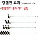 링겔만 효과 (Ringelmann effect) 이미지