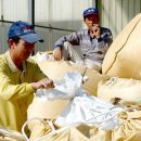 송탄농협미곡종합처리장 이미지