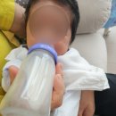 희금정 | 부산 금정구 산후도우미 이레아이맘 후기 (김*희 관리사님)