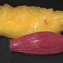 더예그린한의원 이미지