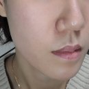 옐로우코알라