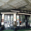 파스타스토리 이미지