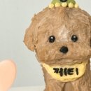 마이펫라이프 수제간식 이미지