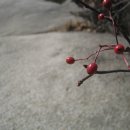 수락산역 이미지