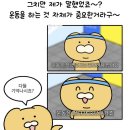 하이마이댕댕 | 대구 댕댕런하고 미니하이록스 와드하고 엘본더브레드 천하제빵슈 후기
