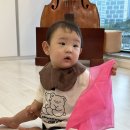 동탄유아음악학원 두다디음악학원 8개월 아기 영유아 음악수업 후기