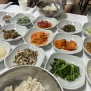 한드미 마을 | [충북 단양군] 보리곳간의 지독한 웨이팅을 피해 방문한 뜻밖의 맛집! "약선식당어래정"