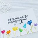 뮬란캘리