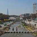 서울 성내천 벚꽃길 걷기 이미지
