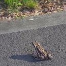 뚜꺼비공인중개사사무소 이미지