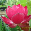 홍연농장 이미지