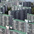 대조-011 이미지