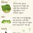 쌈아줌마밥아저씨 이미지