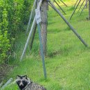 굿모닝농장2 이미지