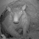 입포농장 이미지