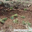 샘터농장 이미지