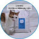 [고양이모래] 스튜디오얼라이브 매일 모래 6.3kg 실사용후기 (어펫체험단)