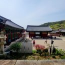 제452차 (4/5) 여수 영취산 산행신청 이미지