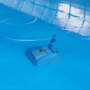 용대농장 이미지