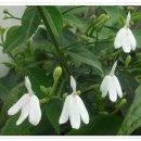 선학초등학교 이미지