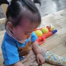 비봉목장 이미지