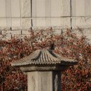 종로-종로-종로-종-359 | 국립중앙박물관 야외에서 보물찾기 181208