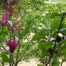 평화의동산 이미지