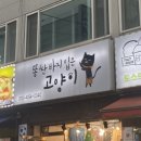 똥싼바지입은고양이