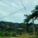 거북이민박 이미지