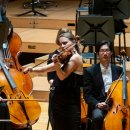 현란한 현의예술 , 바이올린 이미지