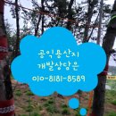 임업행정사사무소 네이버블로그