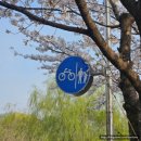 덕풍천 산책로 | 하남 덕풍천 벚꽃놀이 &amp; 만두집 추천 (2024.04.06일 기준)