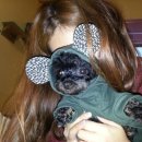 개스트하우스 말2 이미지