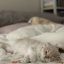 해피올동물병원 이미지