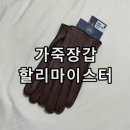 마이스터 골프 | 골프장갑 할리마이스터 사슴가죽장갑 Mures 후기
