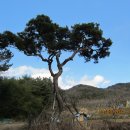 대교  마을회관 이미지