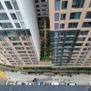 호텔 더 보타닉 세운 명동(B동) 이미지