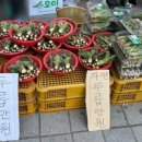 야탑로 이미지