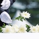 예지원약국 이미지