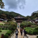 이야기가 있는 사과나무 마을 | 명품 전통사찰 영주 부석사