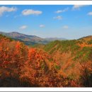 금수강산 이미지