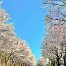 지리산터널펜션 이미지