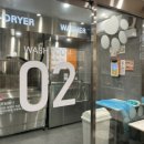 엔조이펫 이미지