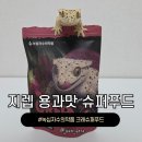 녹십자수의약품(주) | 녹십자수의약품 지렙 용과맛 슈퍼푸드 크레스티드게코 슈푸 추천