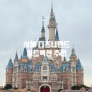 사이버랜드 | 상해 디즈니랜드 후기: 주토피아, 트론, 캐리비안 해적, 불꽃놀이까지 핫하게