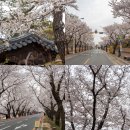 장군마을2길 이미지