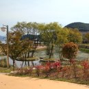 송이테마공원 주차장 이미지