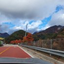 양양리버펜션 이미지