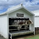 야원목장 이미지