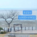 주간 일기 : 2024.2.19~2024.2.25